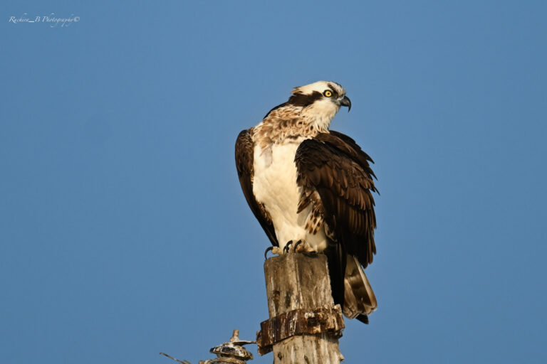 Bhigwan Never Ceases to Amaze